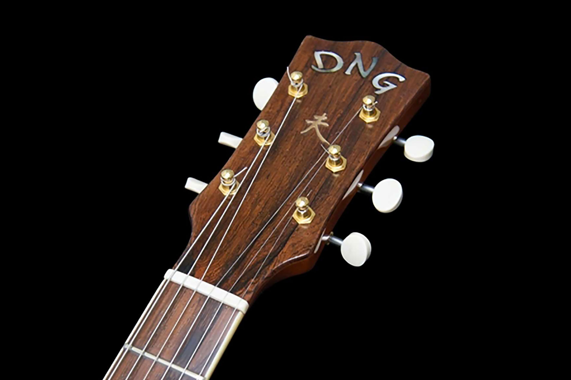 DNG Guitares Ets Gregoire Luthier Paris
